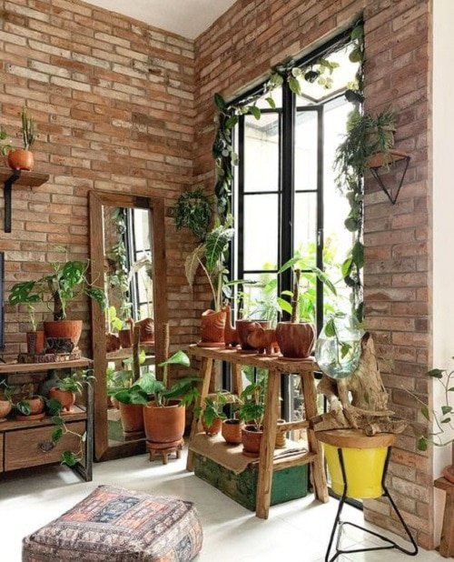 Sunlit home corner filled with indoor plants at different heights